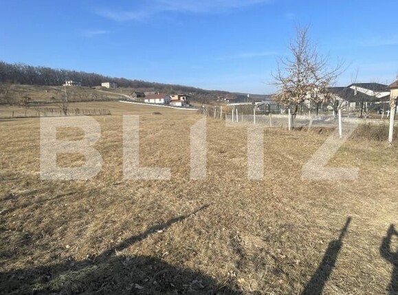 Teren de vânzare Unirea - 166750TV | BLITZ Bistriţa | Poza2