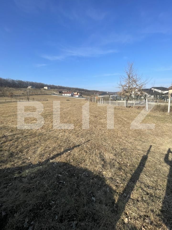 Teren de vânzare Unirea - 166750TV | BLITZ Bistriţa | Poza2