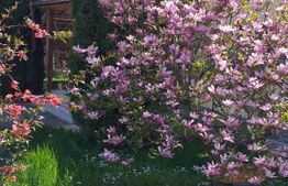 Casa de vânzare 7 camere Beclean - 173971CV | BLITZ Bistriţa | Poza1