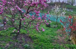 Casă spațioasă cu 7 camere, 200 mp, teren 10 ari, zona Tarlisua