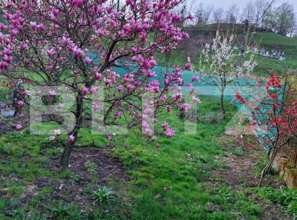 Casa de vânzare 7 camere Exterior Sud - 166766CV | BLITZ Bistriţa | Poza2