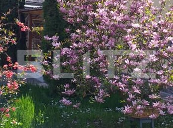 Casa de vânzare 7 camere Exterior Sud - 166766CV | BLITZ Bistriţa | Poza1