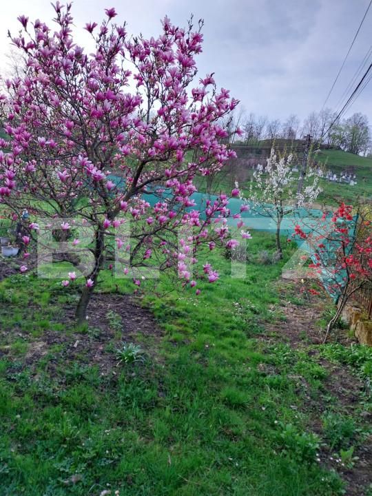 Casa de vânzare 7 camere Exterior Sud - 166766CV | BLITZ Bistriţa | Poza2