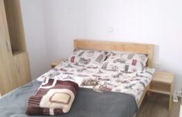 Cabana rustica Baile Figa,85mp,3 dormitoare,182 mp teren