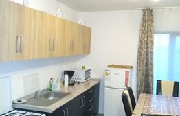 Cabana rustica Baile Figa,85mp,3 dormitoare,182 mp teren