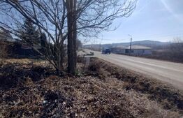 Teren intravilan 500mp(5 ari)la drumul pricipal,Valea Sigmirului