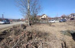 Teren intravilan 500mp(5 ari)la drumul pricipal,Valea Sigmirului
