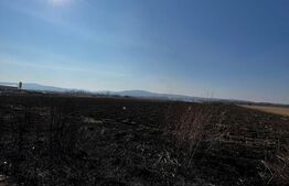 Teren extravilan 19100mp comuna Sintereag 