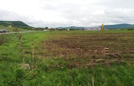 Teren extravilan 19100mp comuna Sintereag 