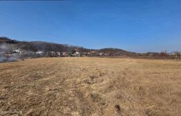 Teren intravilan de vanzare, 5600 mp, zona Viișoare