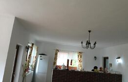 Cabana de vanzare, 8 camere,teren 1500 mp, zona Colibița-Malul Lacului