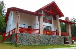 Cabana de vanzare, 8 camere,teren 1500 mp, zona Colibița-Malul Lacului