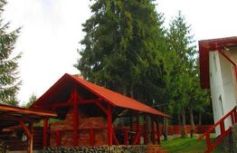 Cabana de vanzare, 8 camere,teren 1500 mp, zona Colibița-Malul Lacului