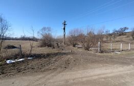 Teren extravilan de vanzare, 25 ari, zona Rusul Bargaului