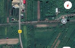 Teren extravilan de vanzare, 25 ari, zona Rusul Bargaului