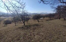 Teren extravilan de vanzare, 25 ari, zona Rusul Bargaului