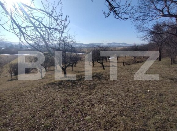 Teren de vânzare Nord-Est - 166896TV | BLITZ Bistriţa | Poza1