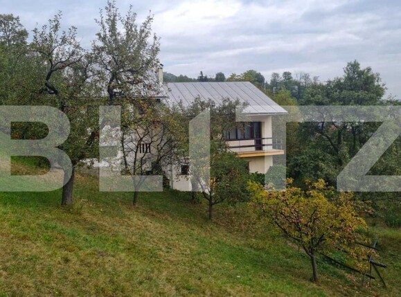 Casa de vânzare 7 camere Nasaud - 166933CV | BLITZ Bistriţa | Poza3