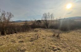 Oportunitate de investitie, teren extravilan, 11200 mp, zona VALEA MAGHERUSULUI 