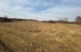 Oportunitate de investitie, teren extravilan, 11200 mp, zona VALEA MAGHERUSULUI 