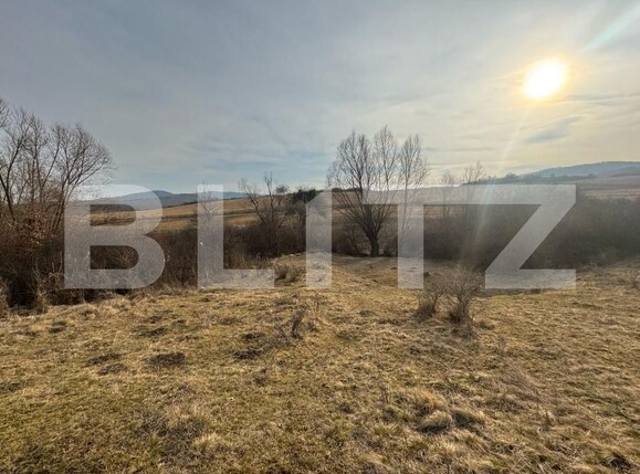 Teren de vânzare Sud - 167087TV | BLITZ Bistriţa | Poza1