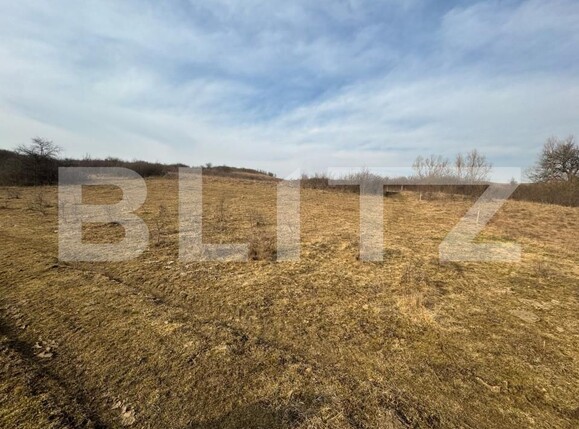 Teren de vânzare Sud - 167087TV | BLITZ Bistriţa | Poza2