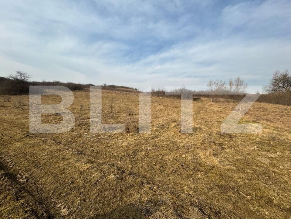Teren de vânzare Sud - 167087TV | BLITZ Bistriţa | Poza2