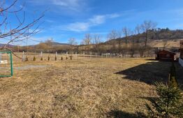 Teren intravilan de vanzare, 7,5 ari, Bistrita