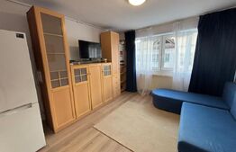 Garsoniera de vanzare, 22 mp, zona Independentei