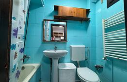 Garsoniera de vanzare, 22 mp, zona Independentei