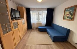 Garsoniera de vanzare, 22 mp, zona Independentei