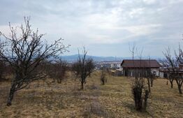 Teren extravilan de vanzare, 830 mp, Bistrita