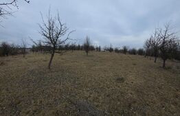 Teren extravilan de vanzare, 830 mp, Bistrita