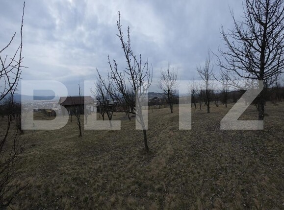 Teren de vânzare Periferie - 167254TV | BLITZ Bistriţa | Poza2