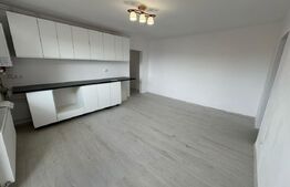 Apartament 2 camere, living cu bucatarie, 55 mp, zona Kaufland Sud