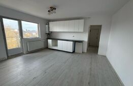 Apartament 2 camere, living cu bucatarie, 55 mp, zona Kaufland Sud