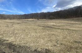 Teren extravilan de vanzare, 2,4 hectare, zona drumul Tarpiului 