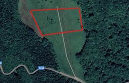 Teren extravilan de vanzare, 2,4 hectare, zona drumul Tarpiului 