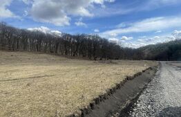 Teren extravilan de vanzare, 2,4 hectare, zona drumul Tarpiului 