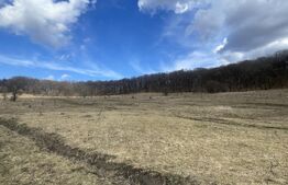 Teren extravilan de vanzare, 2,4 hectare, zona drumul Tarpiului 