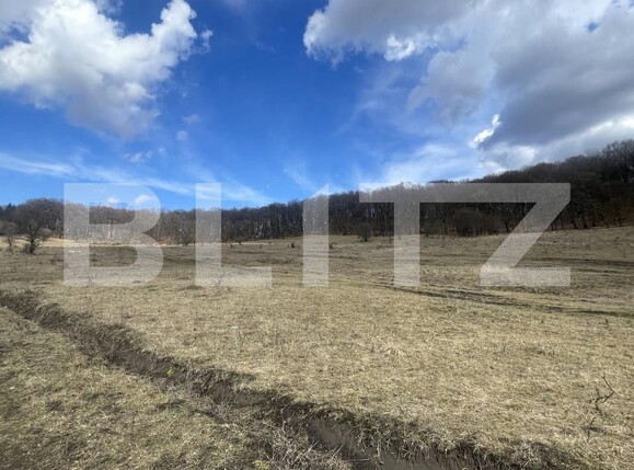 Teren de vânzare Exterior Vest - 167262TV | BLITZ Bistriţa | Poza3