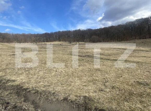 Teren de vânzare Exterior Vest - 167262TV | BLITZ Bistriţa | Poza1