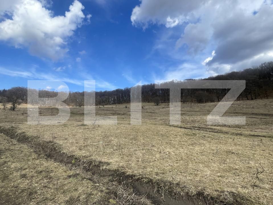 Teren de vânzare Exterior Vest - 167262TV | BLITZ Bistriţa | Poza3