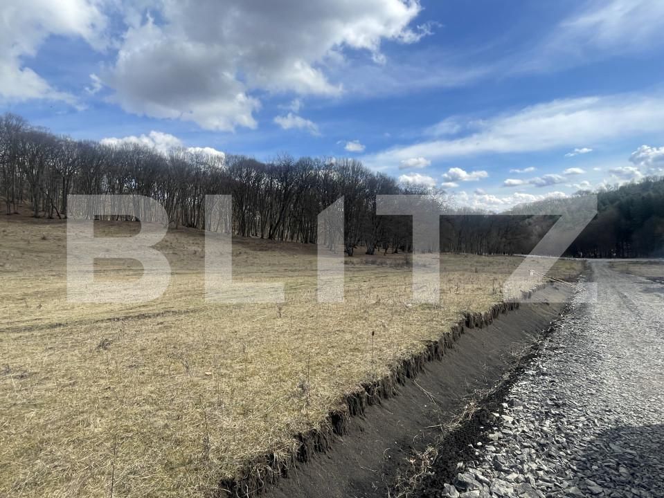 Teren de vânzare Exterior Vest - 167262TV | BLITZ Bistriţa | Poza2