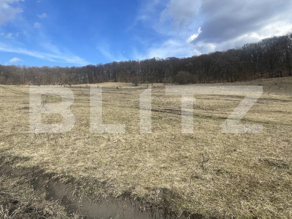 Teren de vânzare Exterior Vest - 167262TV | BLITZ Bistriţa | Poza1