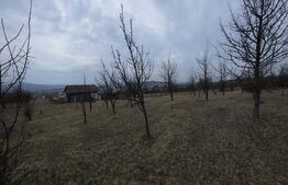 Teren extravilan de vanzare, 900 mp, Bistrita