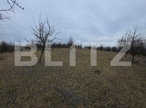 Teren de vânzare Periferie - 167266TV | BLITZ Bistriţa | Poza1