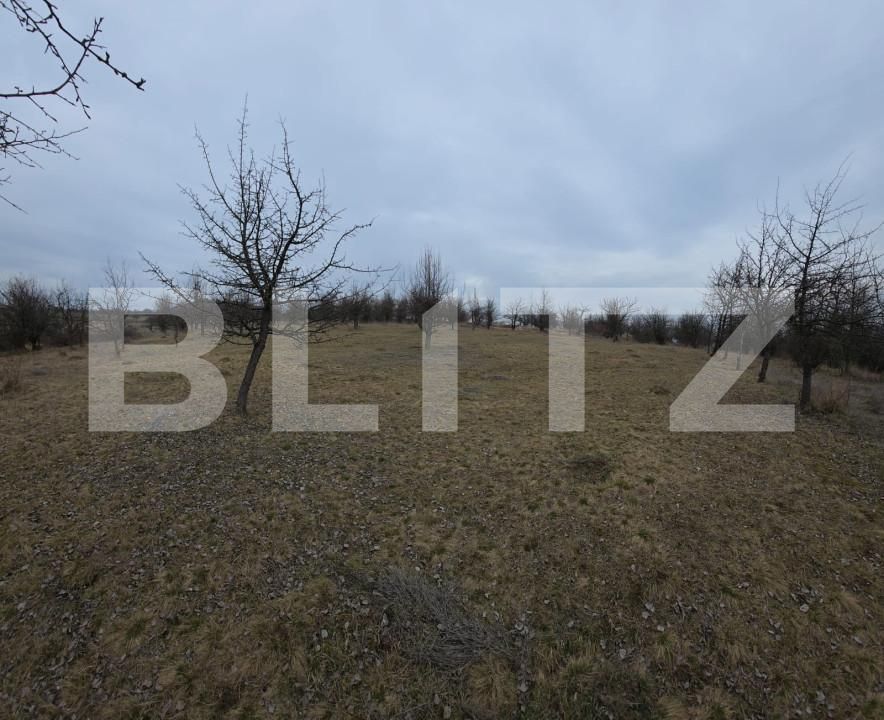 Teren de vânzare Periferie - 167266TV | BLITZ Bistriţa | Poza6