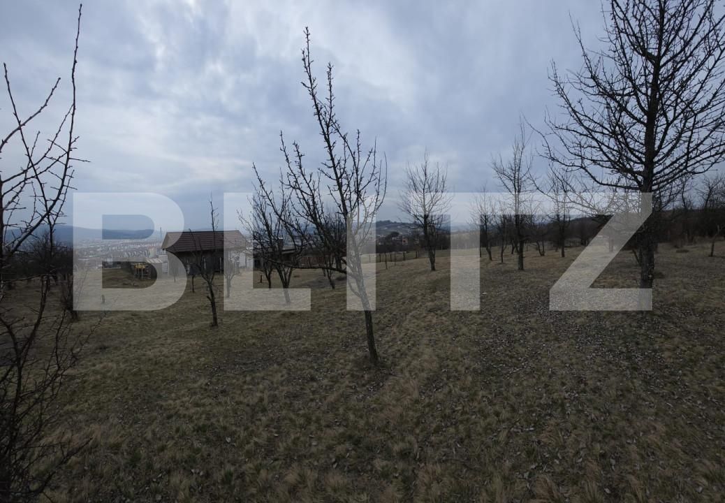 Teren de vânzare Periferie - 167266TV | BLITZ Bistriţa | Poza4