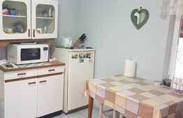 Casa individuala, 3 camere, 95 mp, 4200 mp teren, zona Samnihaiu de Campie